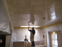 Tray Ceiling, Italian Venetian Plaster, Venetian Plaster, Bella Faux Finishes, Sioux Falls, SD