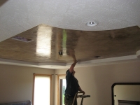 Tray Ceiling, Italian Venetian Plaster, Venetian Plaster, Bella Faux Finishes, Sioux Falls, SD