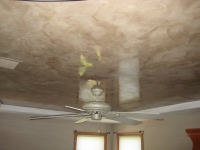 Tray Ceiling, Italian Venetian Plaster, Venetian Plaster, Bella Faux Finishes, Sioux Falls, SD