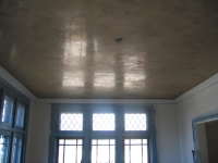 Tray Ceiling, Italian Venetian Plaster, Venetian Plaster, Bella Faux Finishes, Sioux Falls, SD