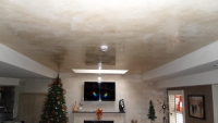 Tray Ceiling, Italian Venetian Plaster, Venetian Plaster, Bella Faux Finishes, Sioux Falls, SD